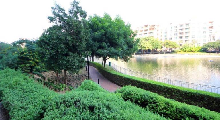 Holiday apartment with pool | Pets allowed in Abu Dhabi