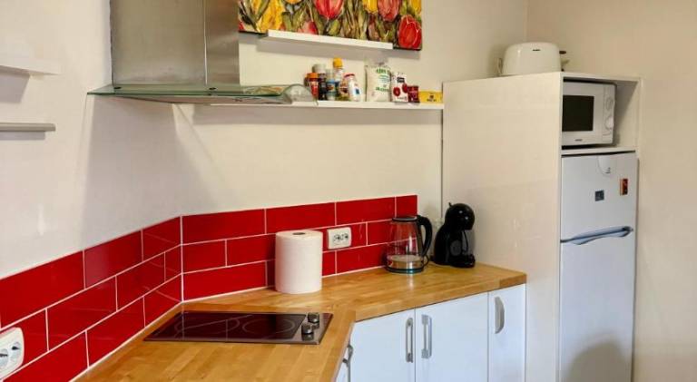 Holiday apartment with 1 room for 4 persons — photo 4