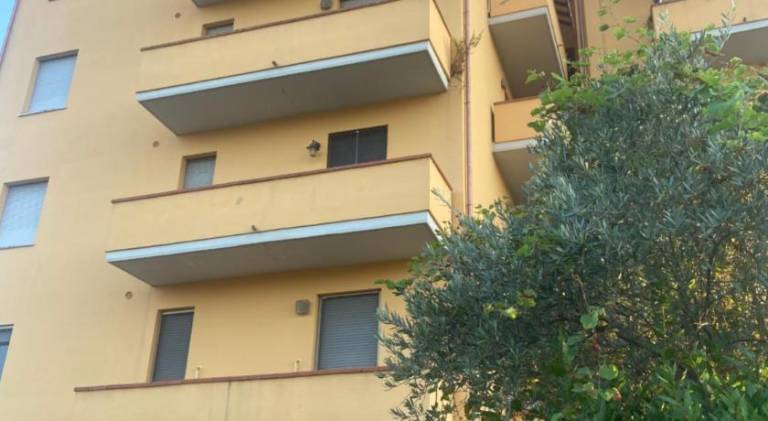 Nice apartment | Pets are welcome — photo 4