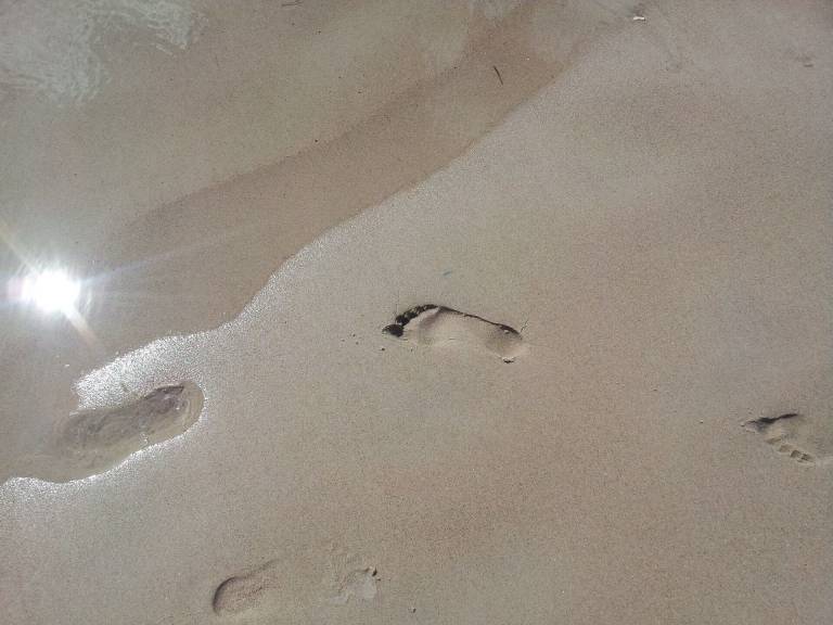 Ferienwohnung Dziwnów