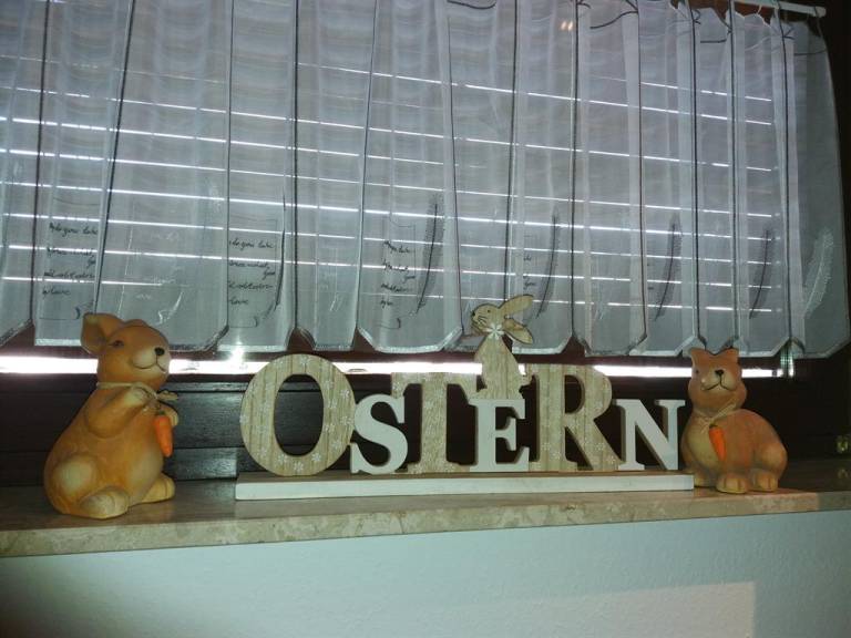 foto14
