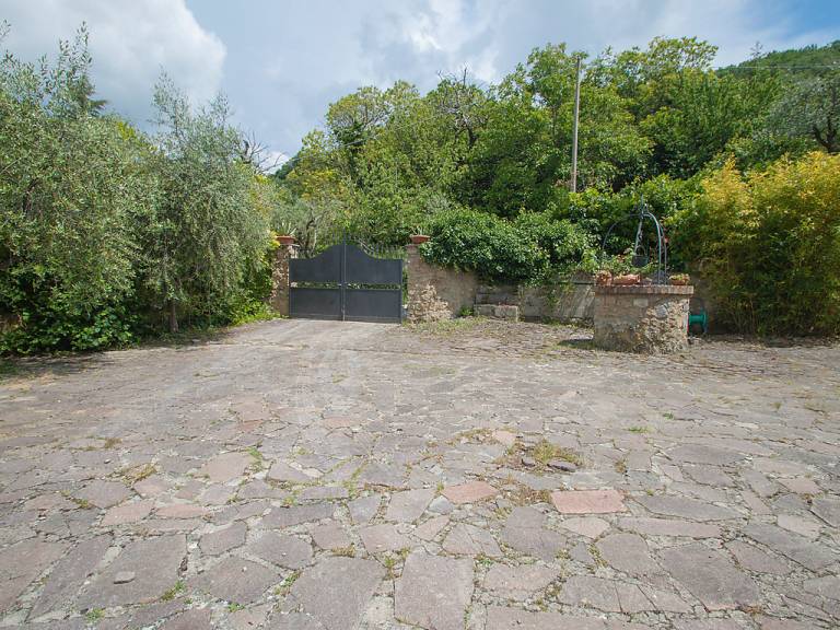 foto19