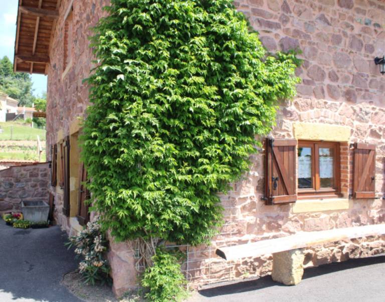 Ferienhaus  Sevelinges