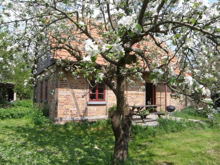 Ferienhaus Lupendorf