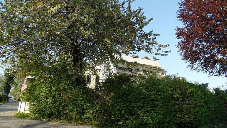 foto16