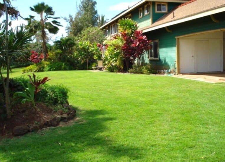 House  North Shore