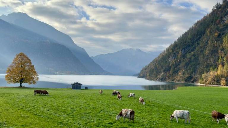 Ferienwohnung Achenkirch