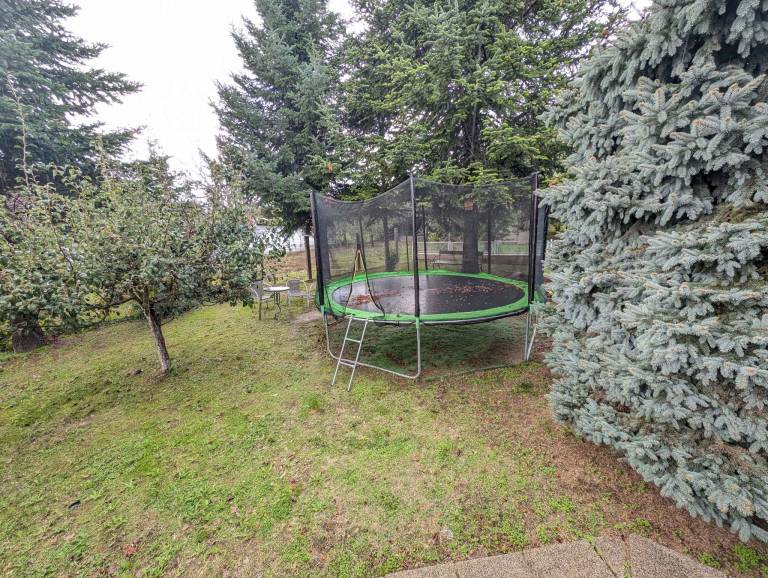 foto6