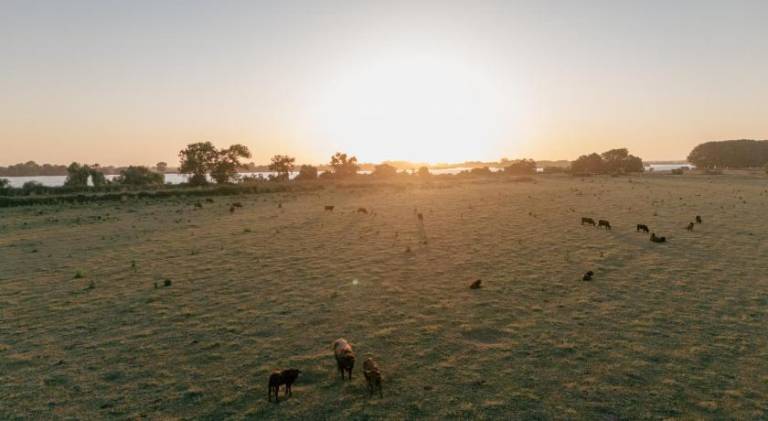 foto38