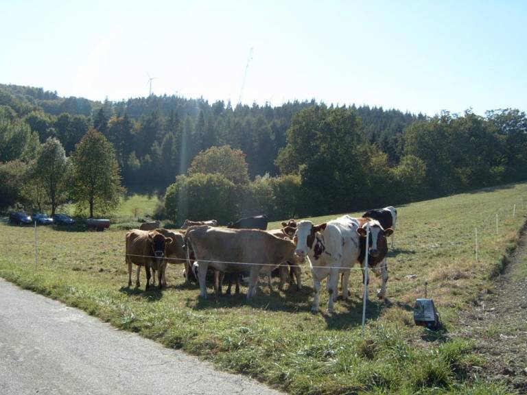 foto30