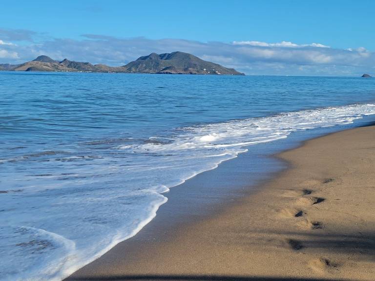 Condo Nevis