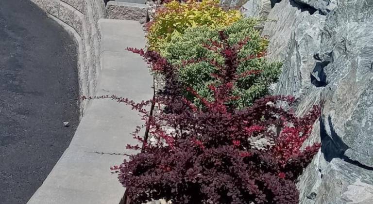 foto24