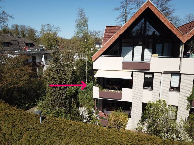 foto17