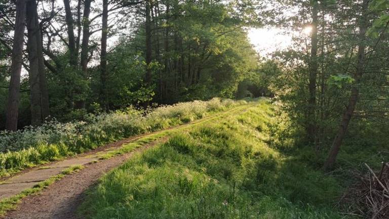 foto21