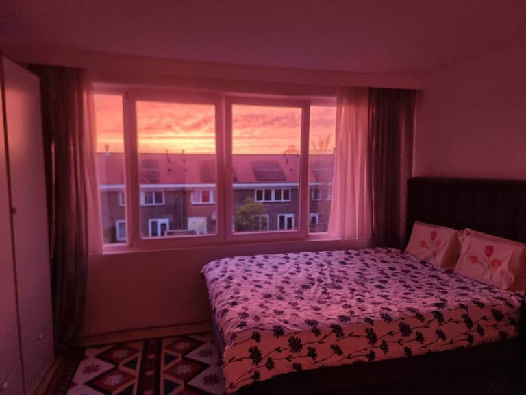 foto12