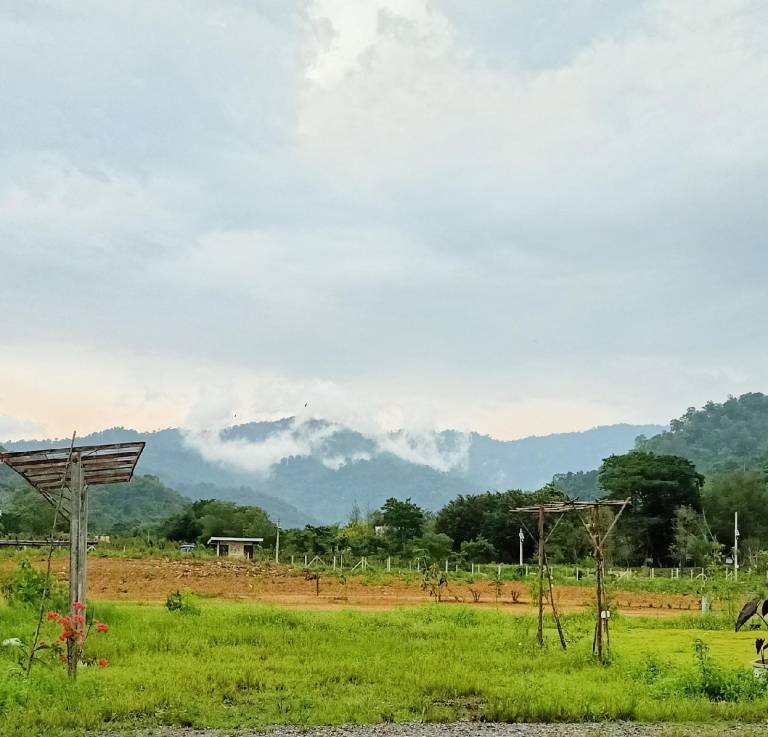 Lan Chomphu Homestay & Tent Camping, Cha-Om, Kaeng Khoi, Saraburi Province, Thailand — photo 3