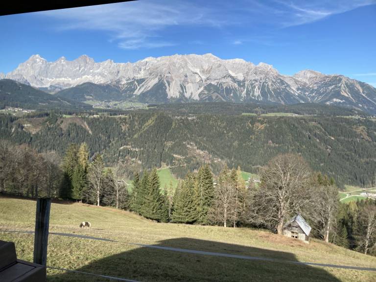 foto18