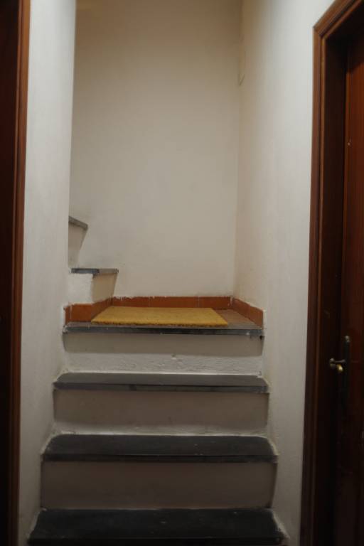 foto12