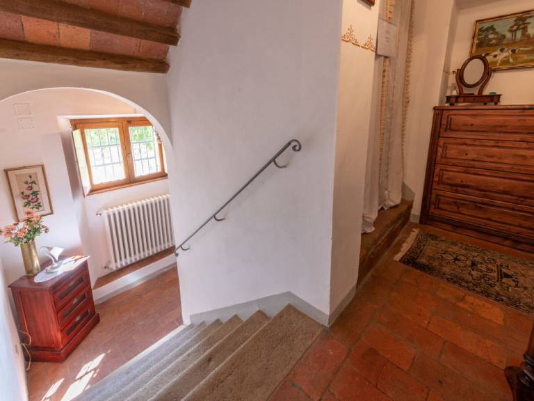 foto19