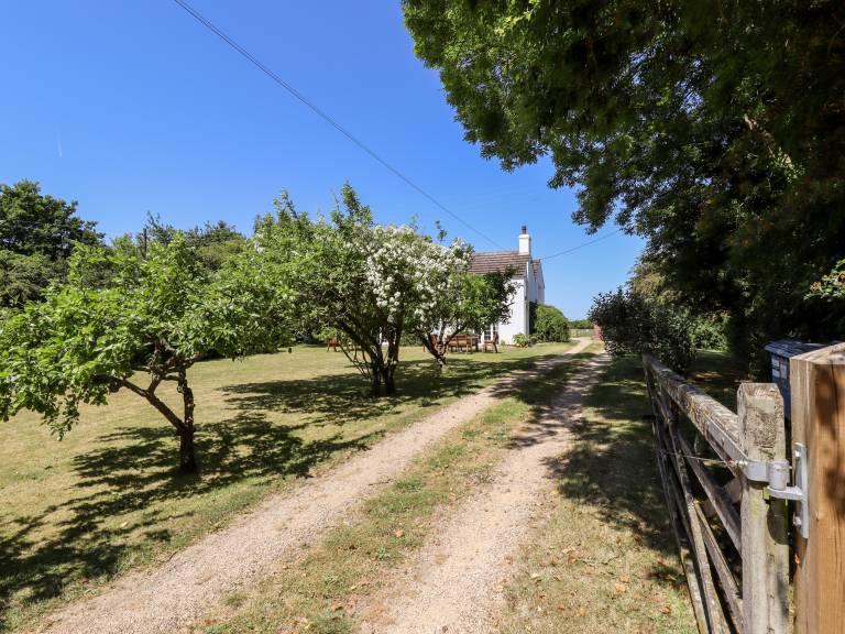 foto49