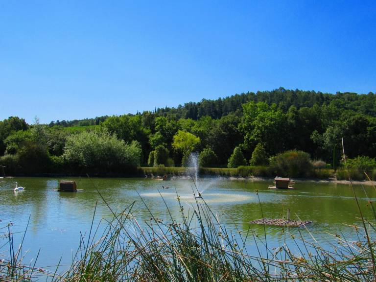 foto45