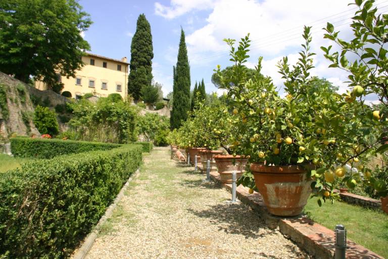 Agriturismo I Casalini: Casalini 1 BELLISSIMA GRANDE CASA INDIPENDENTE CON GIARDINO E PARCHEGGIO PRIVATO WI FI — photo 3