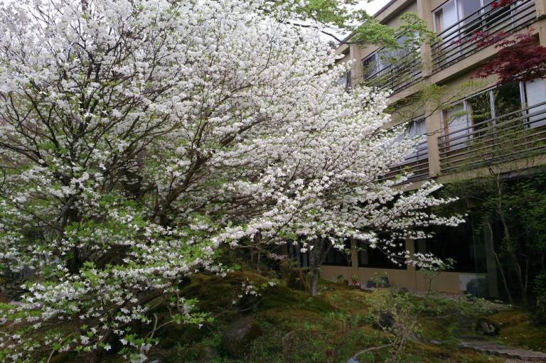 foto16