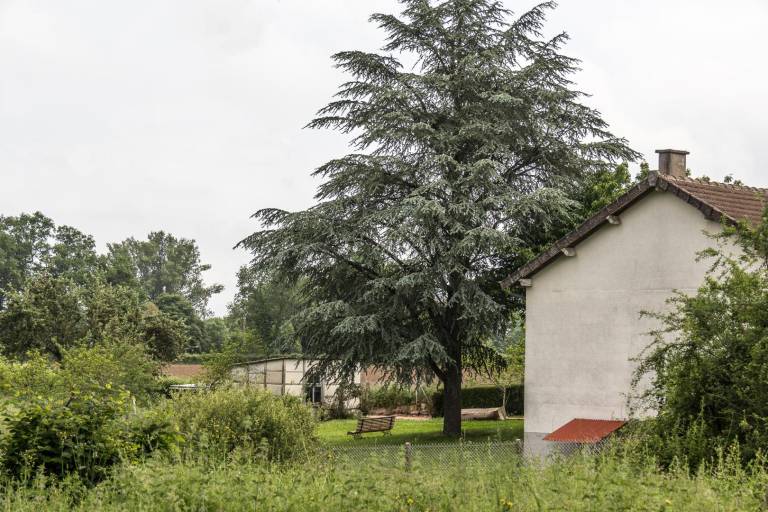 Gite with terrace & yard | Dogs allowed — photo 3