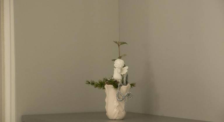 foto30