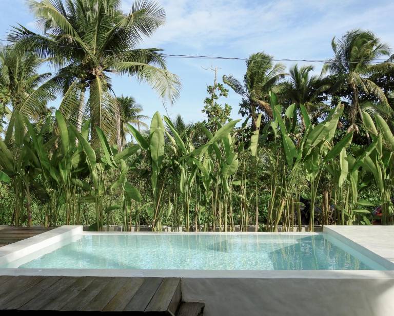 Lisuga Hotel — photo 4
