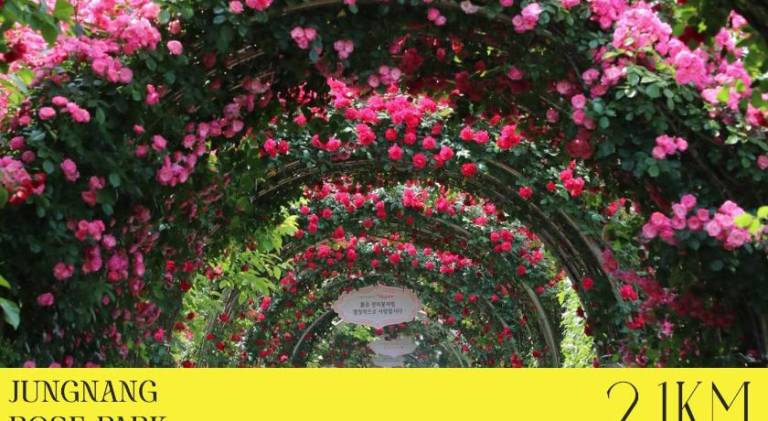 foto16