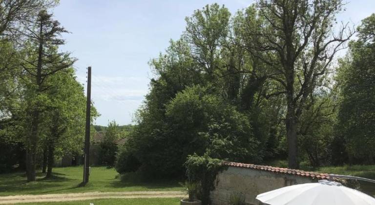 foto16