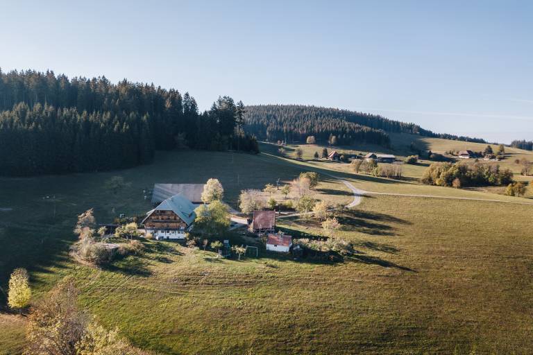 foto7
