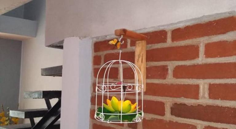 foto17