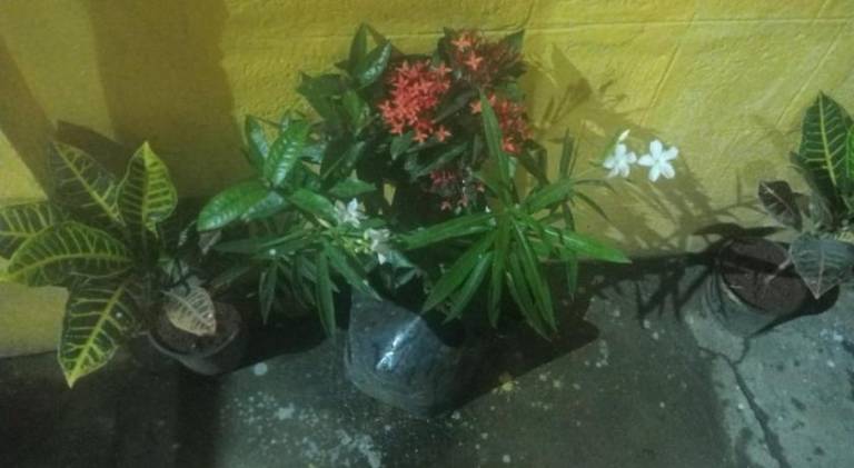 foto35