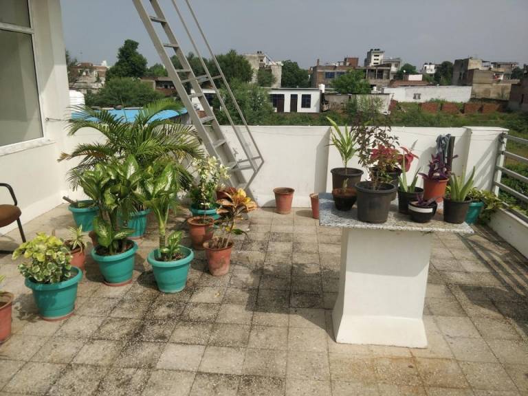 House with garden — photo 4