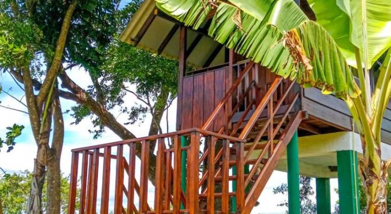 Pride Rock Villa & Tree House — photo 3