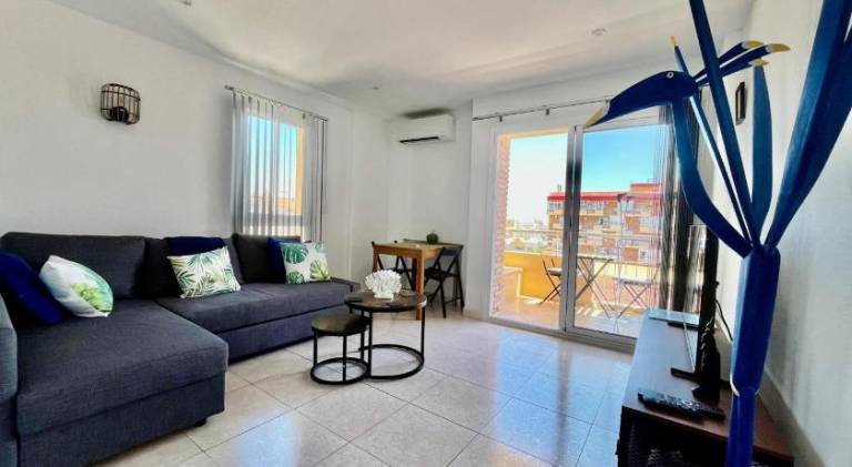 Holiday apartment with private pool, yard & terrace | Pets are welcome in Torremolinos