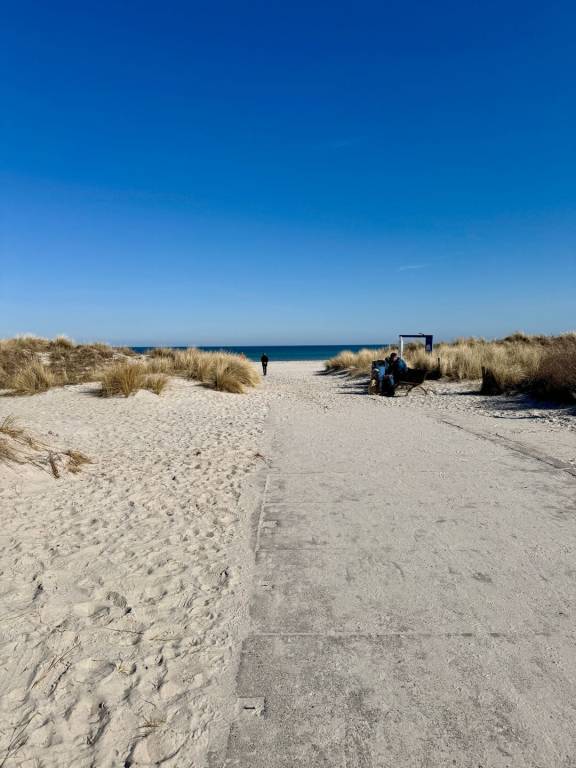 foto41