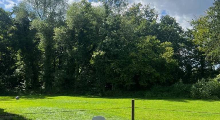 foto15