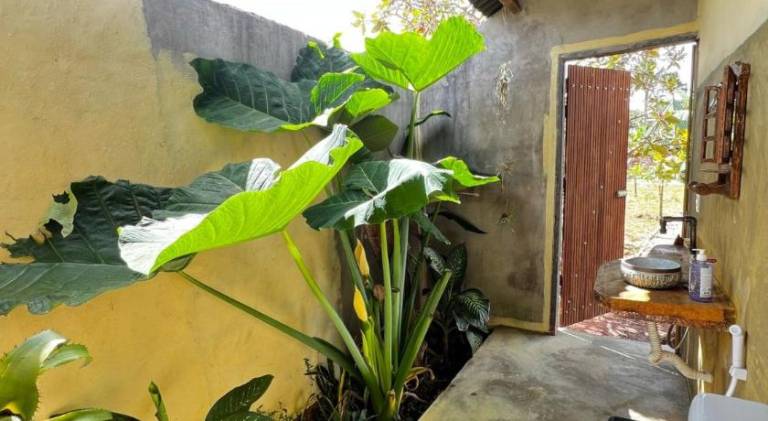 Cabanas na Natureza em Alto Paraiso — photo 2