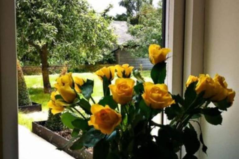 foto8