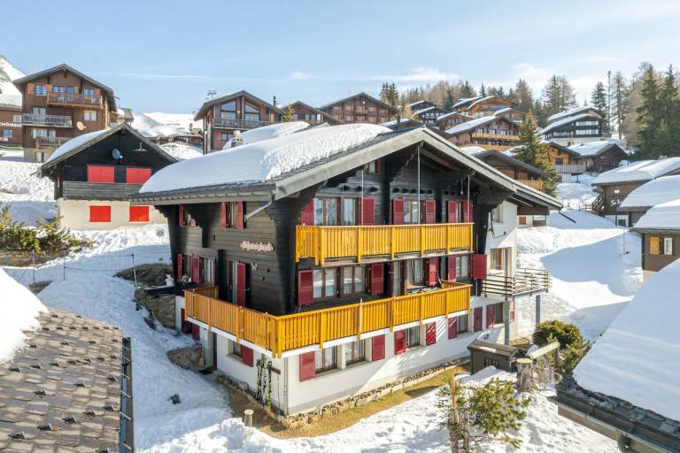 Ferienwohnung  Bettmeralp