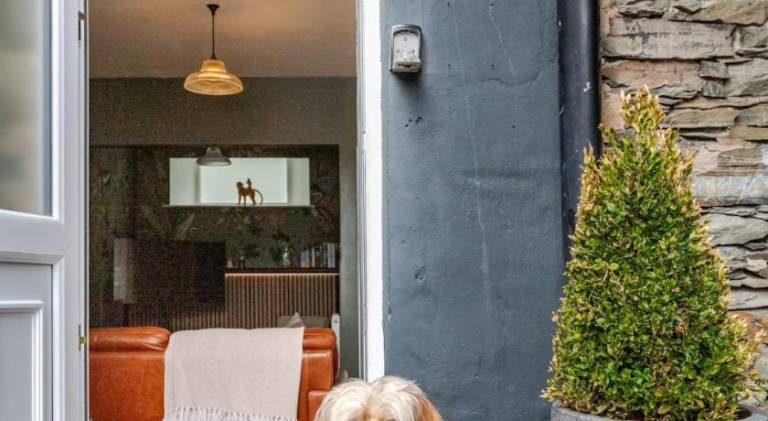 Pleasant apartment | Pet-friendly — photo 4