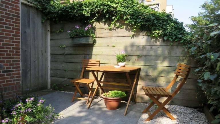 Ferienhaus mit Hund inZandvoort Nordseeküste Holland f&uuml;r max. 2 Personen