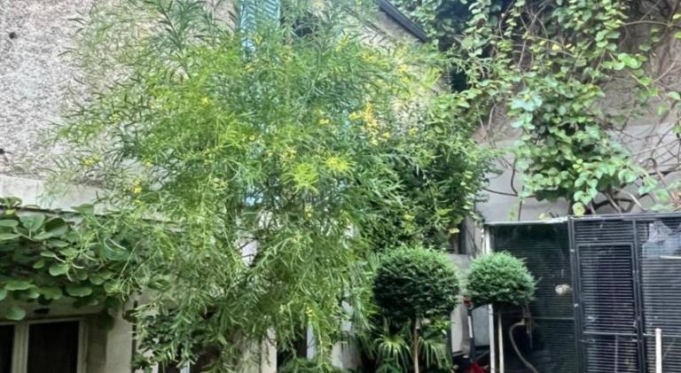 Charming apartment with garden | Pets allowed — photo 5