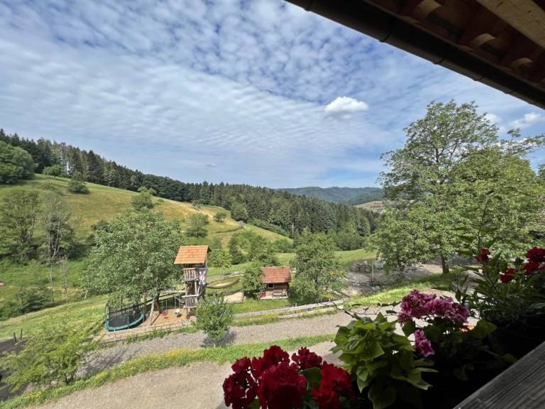 foto30