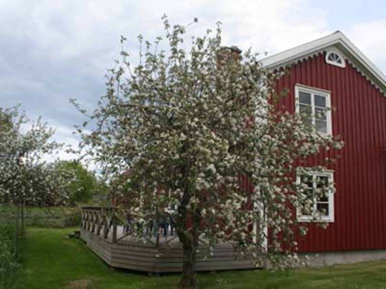 Ferienhaus mit Boot mitten im schwedischen Glasreich
