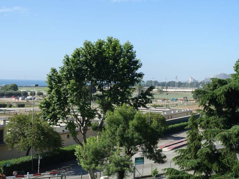 Bel horizon — photo 5