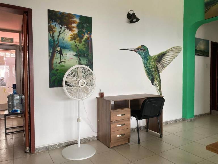 Apartment  Leticia